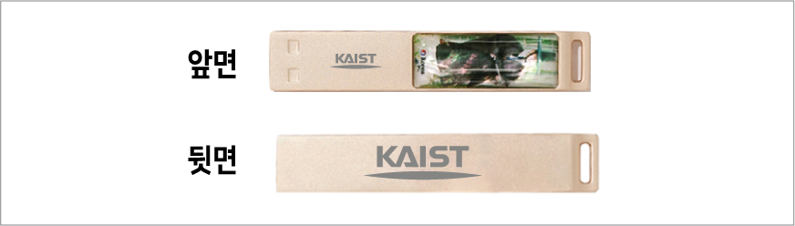 �ѱ��� �ڰ� USB3.0 16G~256G N250G