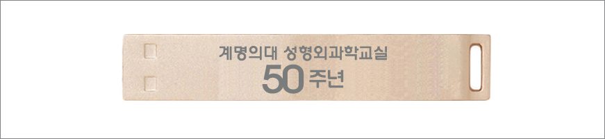 �ѱ��� �ڰ�2.0 USB 8GB~128G N250G