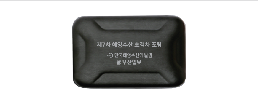 ���� USB �ڵ��� ������ �������̺� ������Ʈ CS06-3