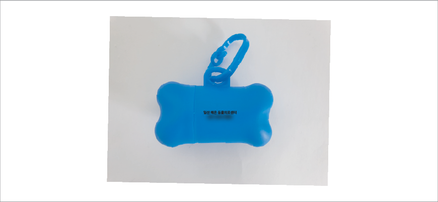 ���� �躯 ���� ���̽�