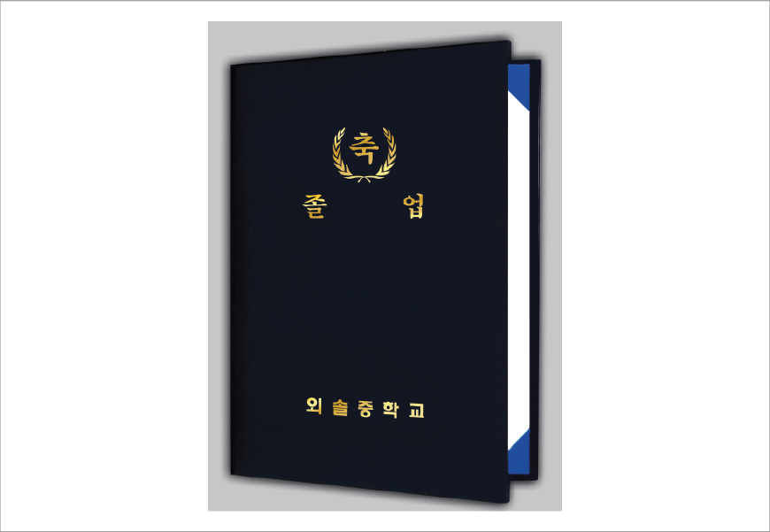 �Ϲ�������(������)